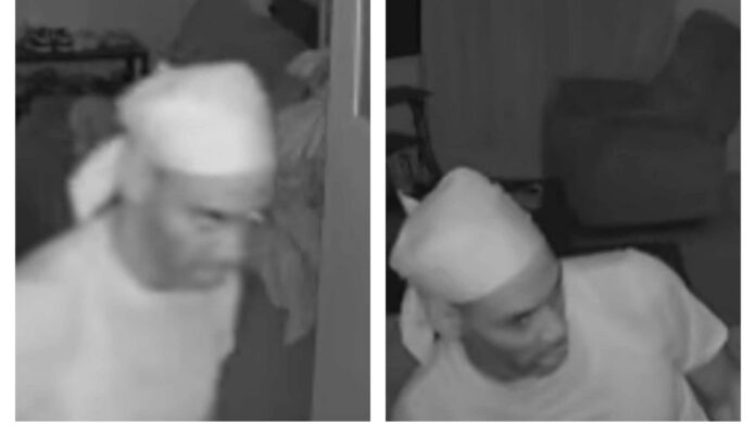 Thief-scaled-e1741702469586.jpg
