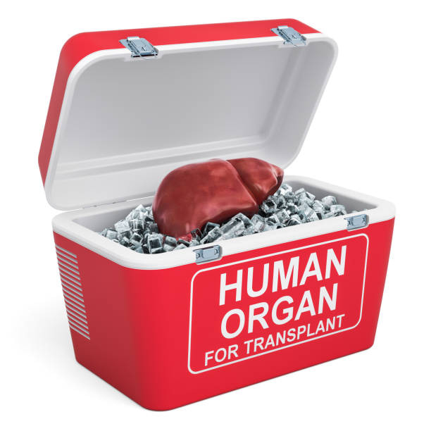 human.jpg