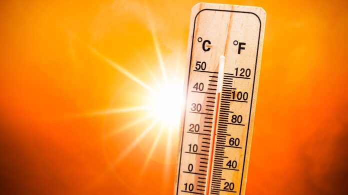 temp.jpeg