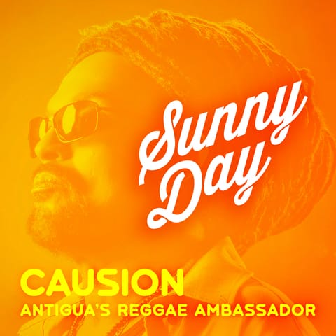 sunny_day-causion.jpg