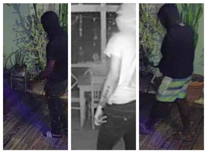 BURGLARS-scaled.jpg