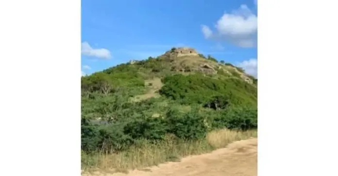 CRUISE_Fort_Barrington.webp