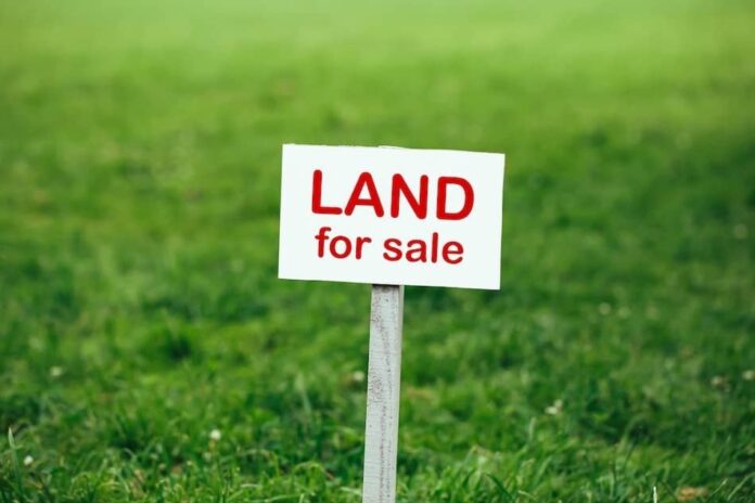 FOR-SALE.jpg
