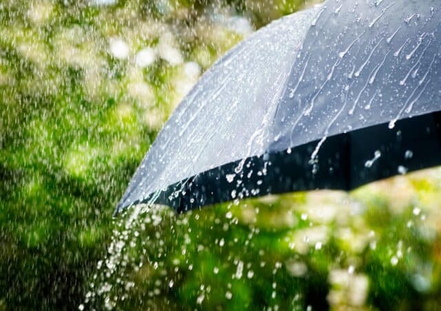 Rainfall-2-scaled-1-e1717173846850.jpeg