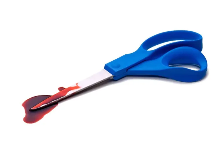 170613-woman-killed-child-scissors-feature.webp
