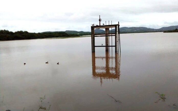 DAM.jpg