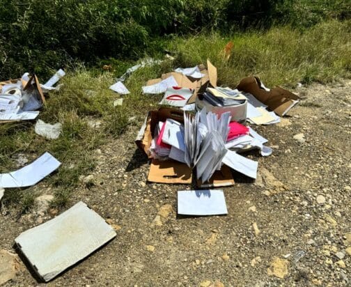 litter-e1739530103285.jpeg