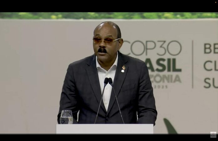PM_Browne_COP30.jpg