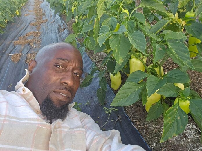 FARMER.jpg
