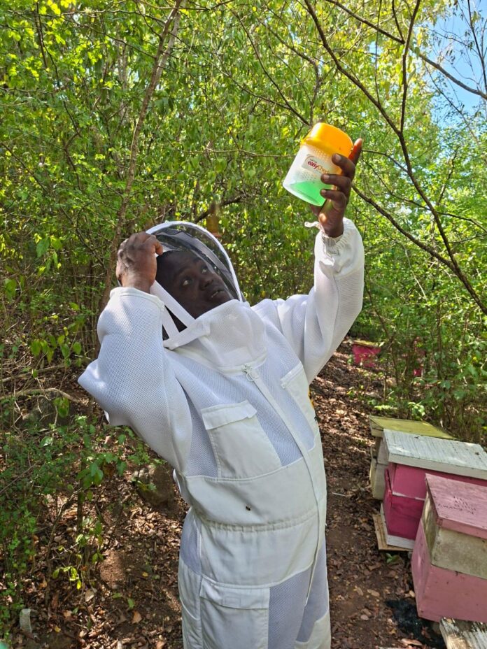 BEE-KEEPER-PHOTO-by-Ministry-of-Agriculture.jpg