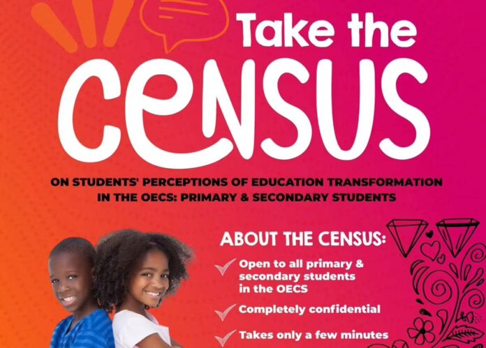 Education-Census-Primary-School-Flyer-4-1.jpeg
