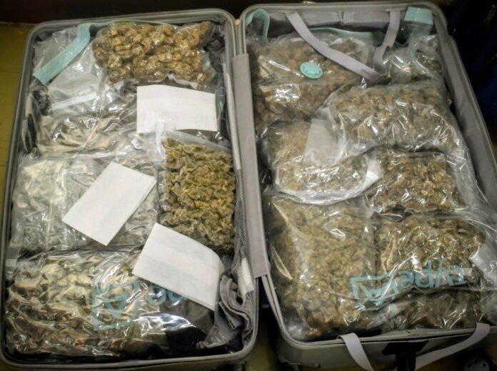 weed.jpeg