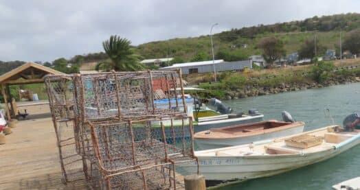 SMALL-CRAFT-e1726188732578.jpg
