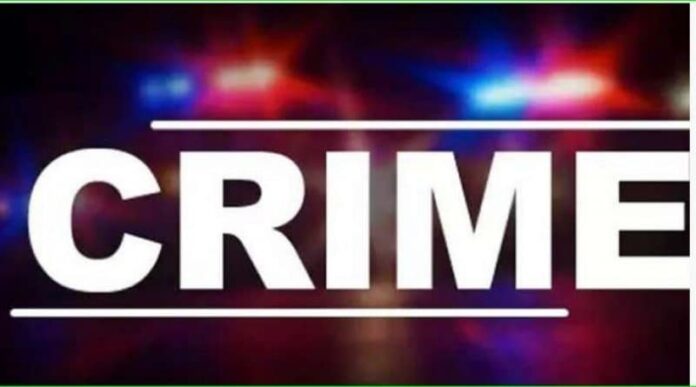 crime-news-2020_5e3e46dd8b74c-800x445-1.jpeg