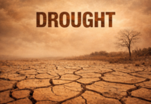 Strong El Niño Potential Raises Concerns of Long-Term Drought & “Mini-Dust Bowl” Scenario