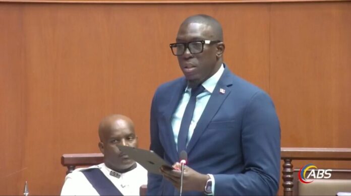 Jamale_Pringle_Parliament_2-e1781713688814.jpg