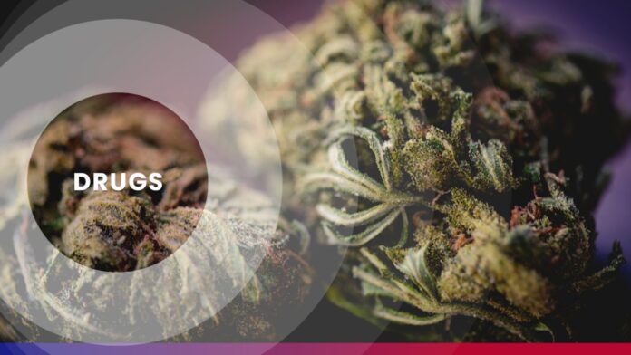 placeholder-drugs-marijuana-2_344ea67a59723184abd6df039f253690.jpg