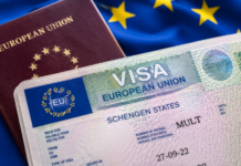 Pringle Questions Government’s Handling of EU Pressure Over Citizenship by Investment Programme